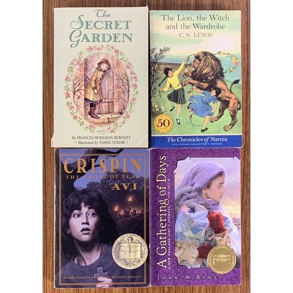Other - Lot 4 Classical Conversations Challenge A Novel Literature Books